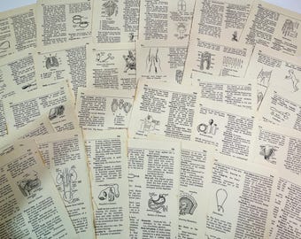 1940s Medical Dictionary Pages: Anatomy Ephemera for Collage