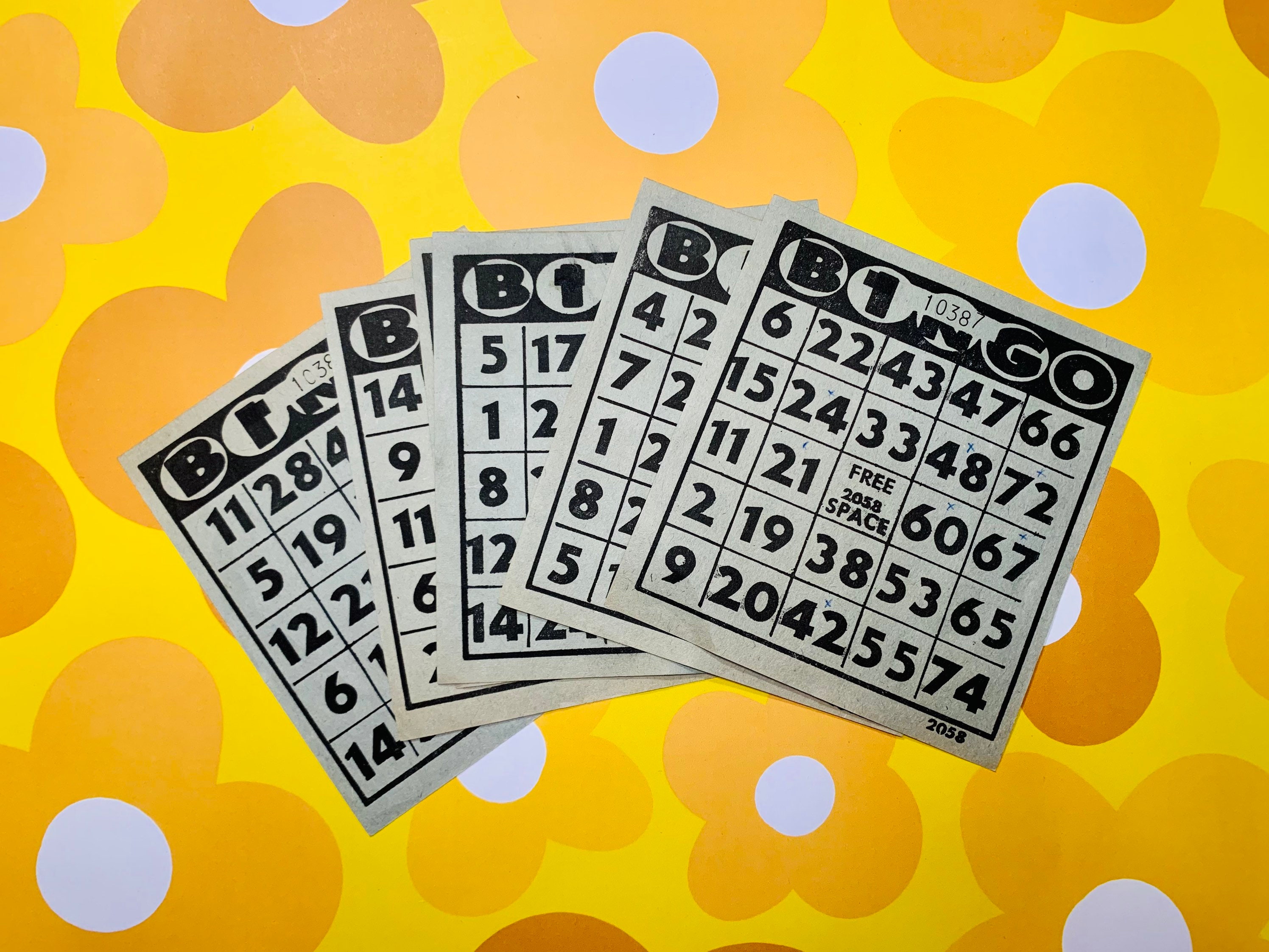Gold lotto 2024 draw 3853