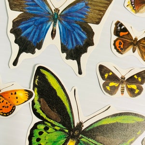 Butterflies diecut ephemera pack collage kit junk journal pack scrapbooking set 11 pieces image 3