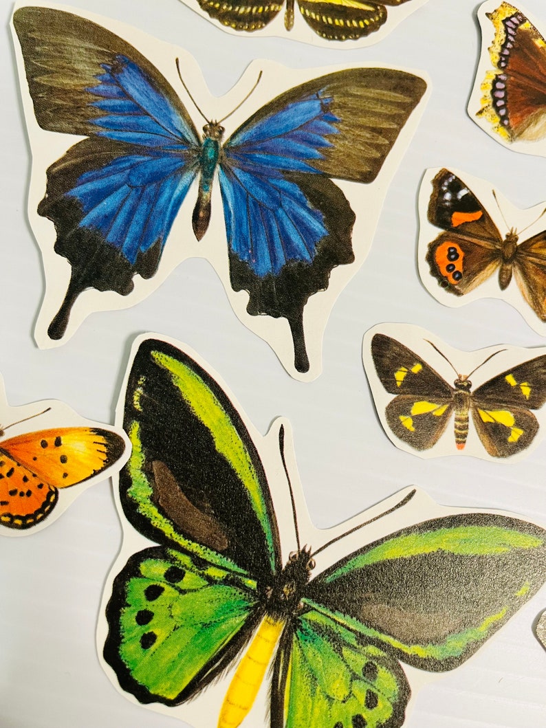 Butterflies diecut ephemera pack collage kit junk journal pack scrapbooking set 11 pieces image 3
