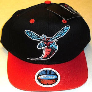 Delaware State Hornets Snapback hat Ncaa