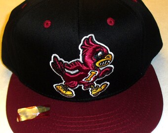 Iowa State Hat - Etsy