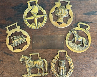 May include: A collection of vintage brass horse brasses, including designs of a train, a dog, a horse-drawn carriage, an owl, and a wheat sheaf. One brass features text "Festival of Britain 1951". A small brass plaque reads "R. Foster & Son".