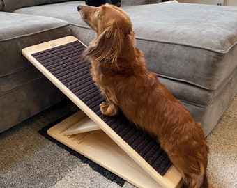 Dog Ramp - THE Ramp for YOUR Pet