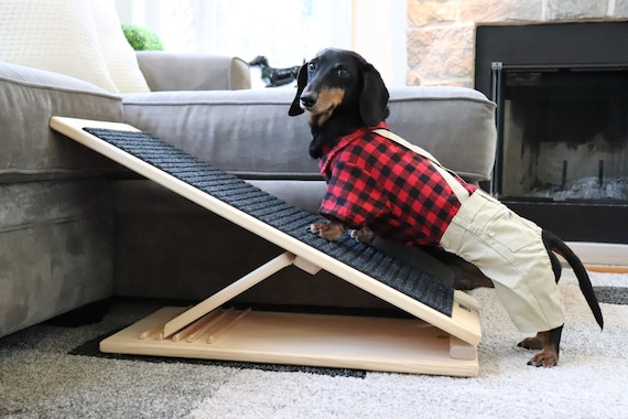 pet ramp