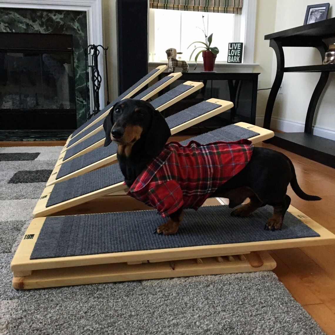 THE Ramp for YOUR Pet Etsy