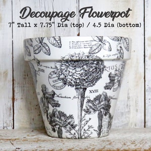 May include: A white ceramic flowerpot with a black and white botanical print. The pot is 7 inches tall, 7.75 inches in diameter at the top, and 4.5 inches in diameter at the bottom. The print features flowers, leaves, and botanical illustrations with Latin text.