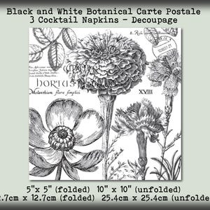 3 Black and White Botanical Vintage Carte Postale 5" Cocktail Beverage Napkins Decoupage Collage Mixed Media Tissue