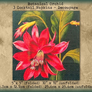 3 Exotic Red Orchid Cactus Botanical Succulent 5&quot; Cocktail Beverage Napkins Decoupage Collage Tissue