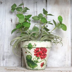 Medium Red Geranium Vintage Shabby Chic &quot;Moss&quot; Covered Rustic Terra Cotta Flowerpot Flower Pot Pots Herb Houseplants Planter Decoupage