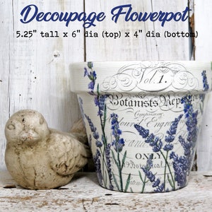 May include: A white ceramic flowerpot with a lavender floral design and black script text that reads "Vol. 1. Botanists Repository". The pot is 5.25 inches tall, 6 inches in diameter at the top, and 4 inches in diameter at the bottom.