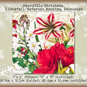 3 Amaryllis Holly Christmas French 5&quot; Cocktail Beverage Napkins Decoupage Collage Mixed Media Tissue