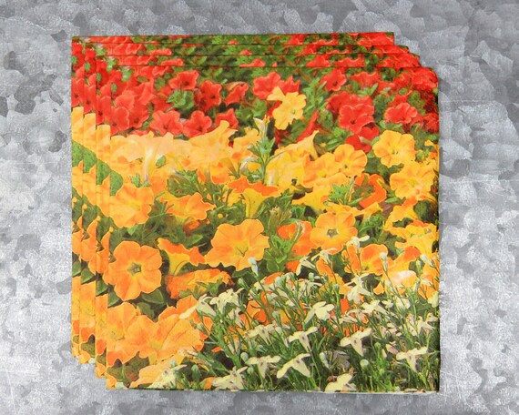 blossom 663 4 Single paper decoupage napkins.Beauty pig piggy