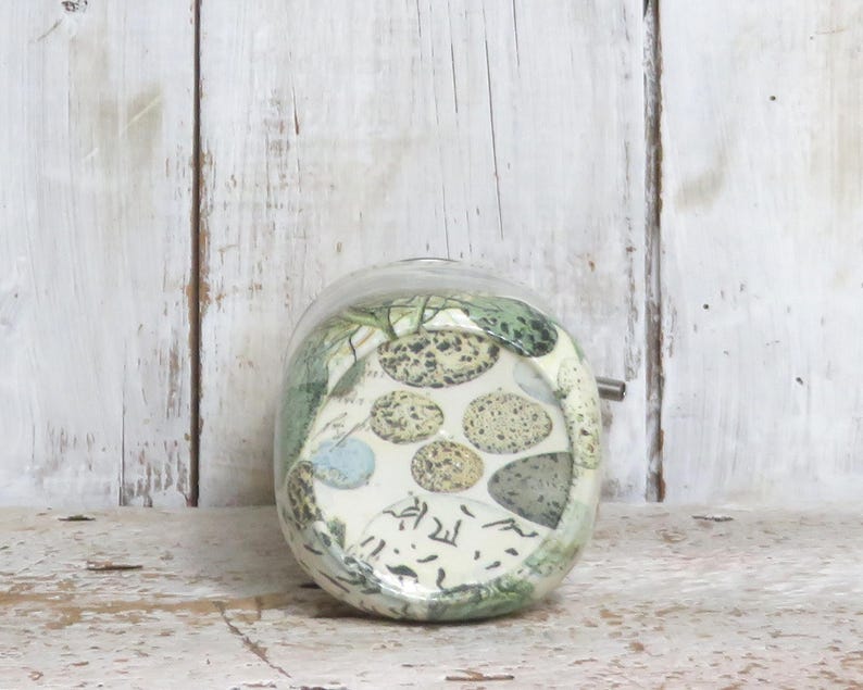 May include: A clear glass jar with a white and green patterned design. The pattern features a variety of bird eggs and leaves.