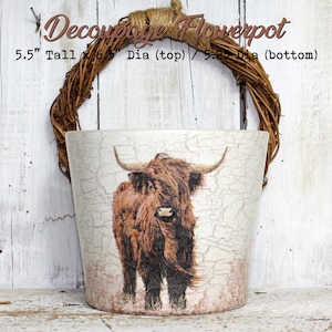 May include: A white ceramic flowerpot with a distressed finish, featuring a printed image of a brown Highland cow. The pot has a woven rope handle and measures 5.5 inches tall, 6.5 inches in diameter at the top, and 5.2 inches in diameter at the bottom.