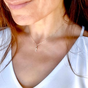 14K Gold Filled Italian Horn Pendant Necklace: Cornicello Choker - 14” - 20” Lengths