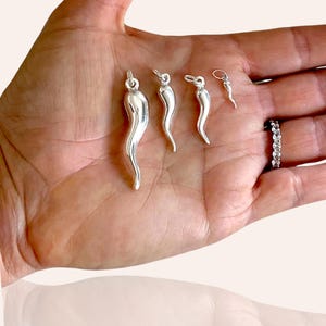 Puede incluir: Cuatro colgantes de plata en forma de cuerno de la abundancia, o cornucopia, en varios tamaños. Los colgantes se muestran en una mano.
