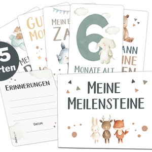 OLGS Meilensteinkarten Baby Lino für Junge und Mädchen | 45 Meilenstein Karten Set + Magnetbox | Geschenkidee zur Geburt, Taufe, Babyparty