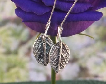 sage leaf earrings, nature jewellery, leaf drop earrings, leaf jewelry, dangle earrings, drop earrings, silver drop earrings, long earrings
