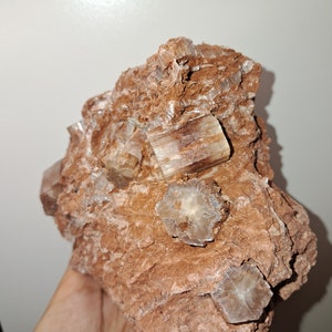 7 Aragonites in Matrix