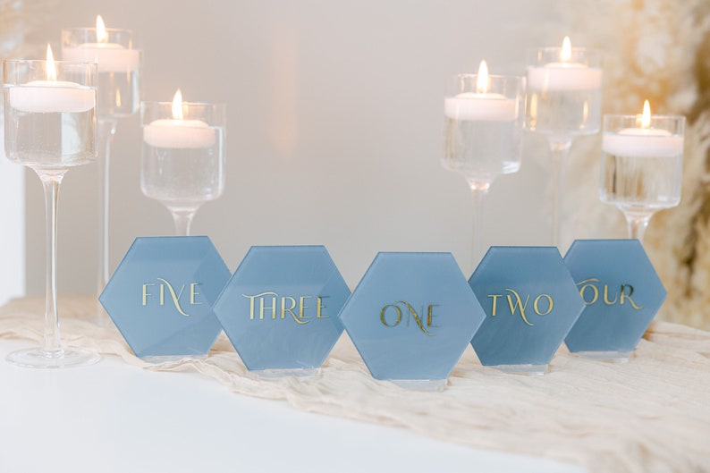 Painted Acrylic Hexagon Table Numbers With Raised Text Wedding Table Numbers Custom Wedding Table Numbers 3D Pop Out Text image 3