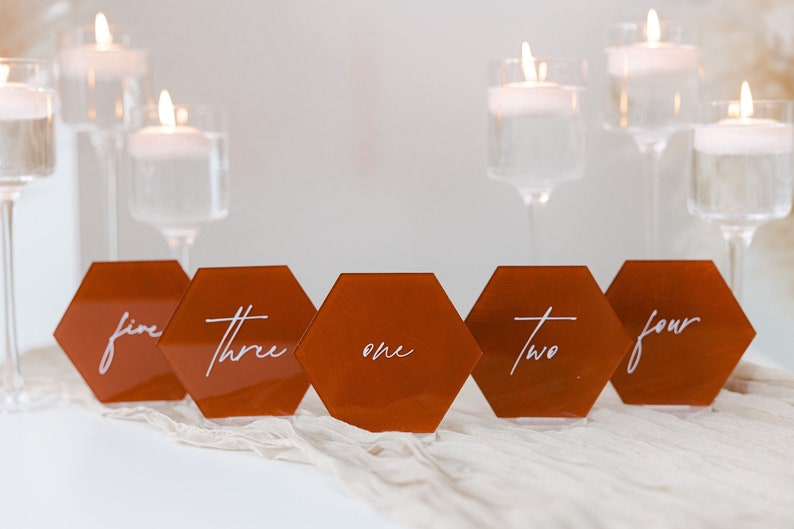 Painted Acrylic Hexagon Table Numbers With Raised Text Wedding Table Numbers Custom Wedding Table Numbers 3D Pop Out Text image 1