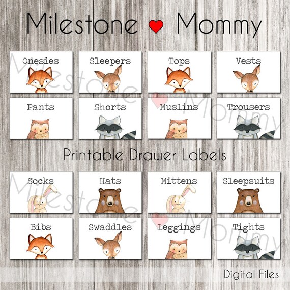 Woodland Drawer Labels Woodland Dresser Label Baby Clothing Etsy