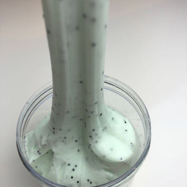 Mint Chocolate Chip Slime - Mint Fluffy Slime (Scented)