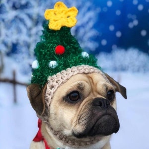 May include: A pug wearing a green and brown crocheted Christmas tree hat with a yellow star on top and a white and red bow tie.