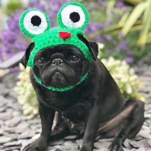 Crochet frog dog hat; frog pug hat; hats for dogs; hats for pugs; crochet hat; pug hat; winter hat; crochet hat; frog dog hat; dog fashion