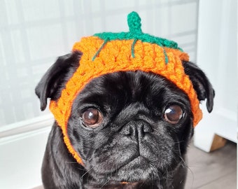 Pumpkin Halloween dog hat; crochet pumpkin hat; hat for dogs; crochet pumpkin; Halloween crochet hat; crochet pet hat; Halloween pumpkin;