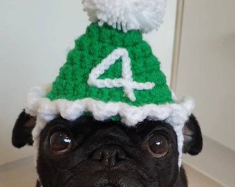 Gehäkelte Geburtstagshundemütze; Gehäkelter Hut; Partyhut häkeln; Hüte für Hunde; Mützen für Mops; Mops Hut; Partyhut; gehäkelte Mütze; Hunde Mode; Geburtstag