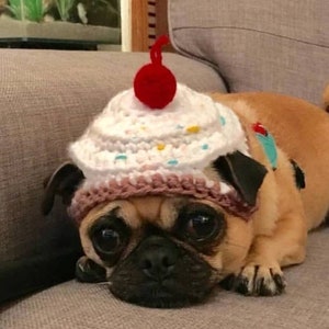 Crochet cupcake dog hat; cupcake hat; hats for dogs; hats for pugs; crochet hat; pug hat; winter hat; crochet hat; cupcake hat; dog fashion