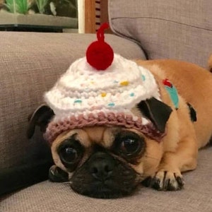 Crochet cupcake dog hat cupcake hat hats for dogs hats for pugs crochet hat pug hat winter hat crochet hat cupcake hat dog fashion imagem 1