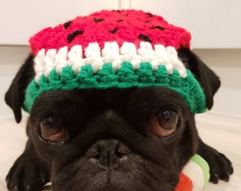 One in a Melon Dog Hat Hats for Dogs 