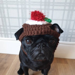 May include: A black pug wearing a brown knitted Christmas pudding hat with a red and white pom-pom on top.