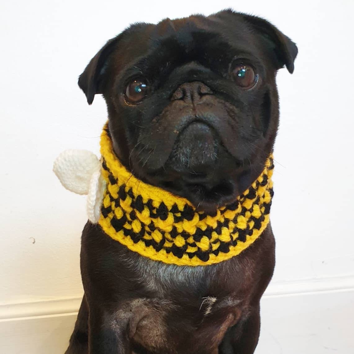 Häkeln Hund Snood; Hummel-Snood; Mops-Bee Snood; Hundemode; Hund Schal; häkeln Snood; Häkeln Einhorn; Häkeln Schal; bee snood p