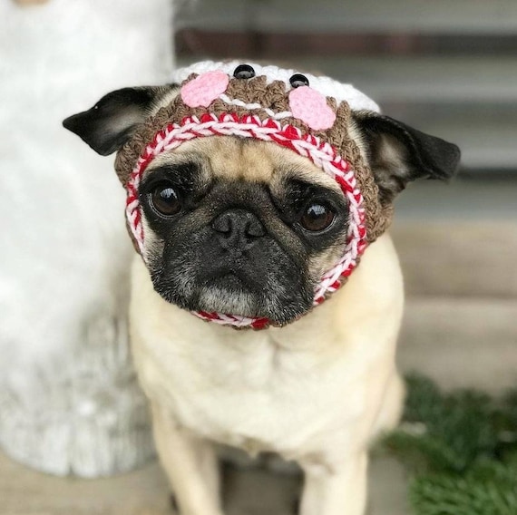 Pugs top winter hats