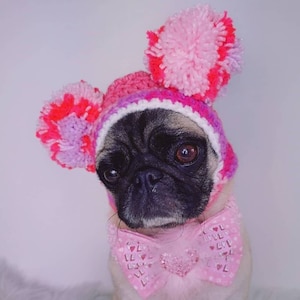 Könnte beinhalten: Ein Mops, der eine rosa und lila gestrickte Mütze mit Bommeln und eine rosa Schleife mit dem Wort "love" trägt.