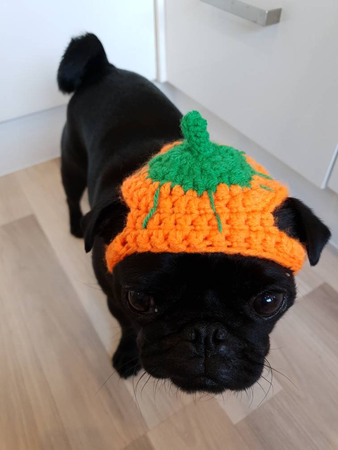 Pumpkin Halloween Dog Hat Crochet Pumpkin Hat Hat for Dogs Etsy