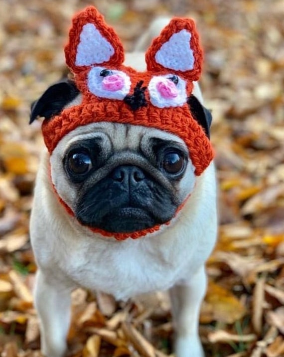 dog winter hats