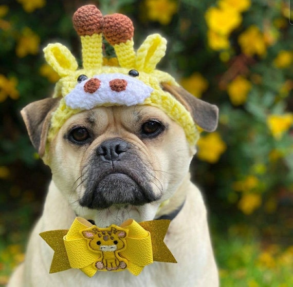 Crochet Giraffe Dog Hat Giraffe Pug Hat 
