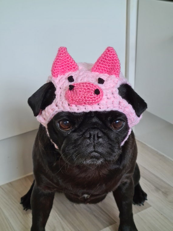 pug hats for dogs