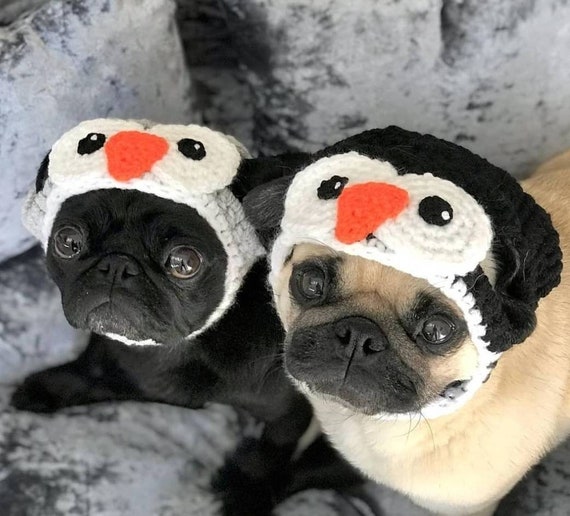 Penguin Dog Hat; Crochet Christmas Hat; Pug Hat; Hats for Dogs