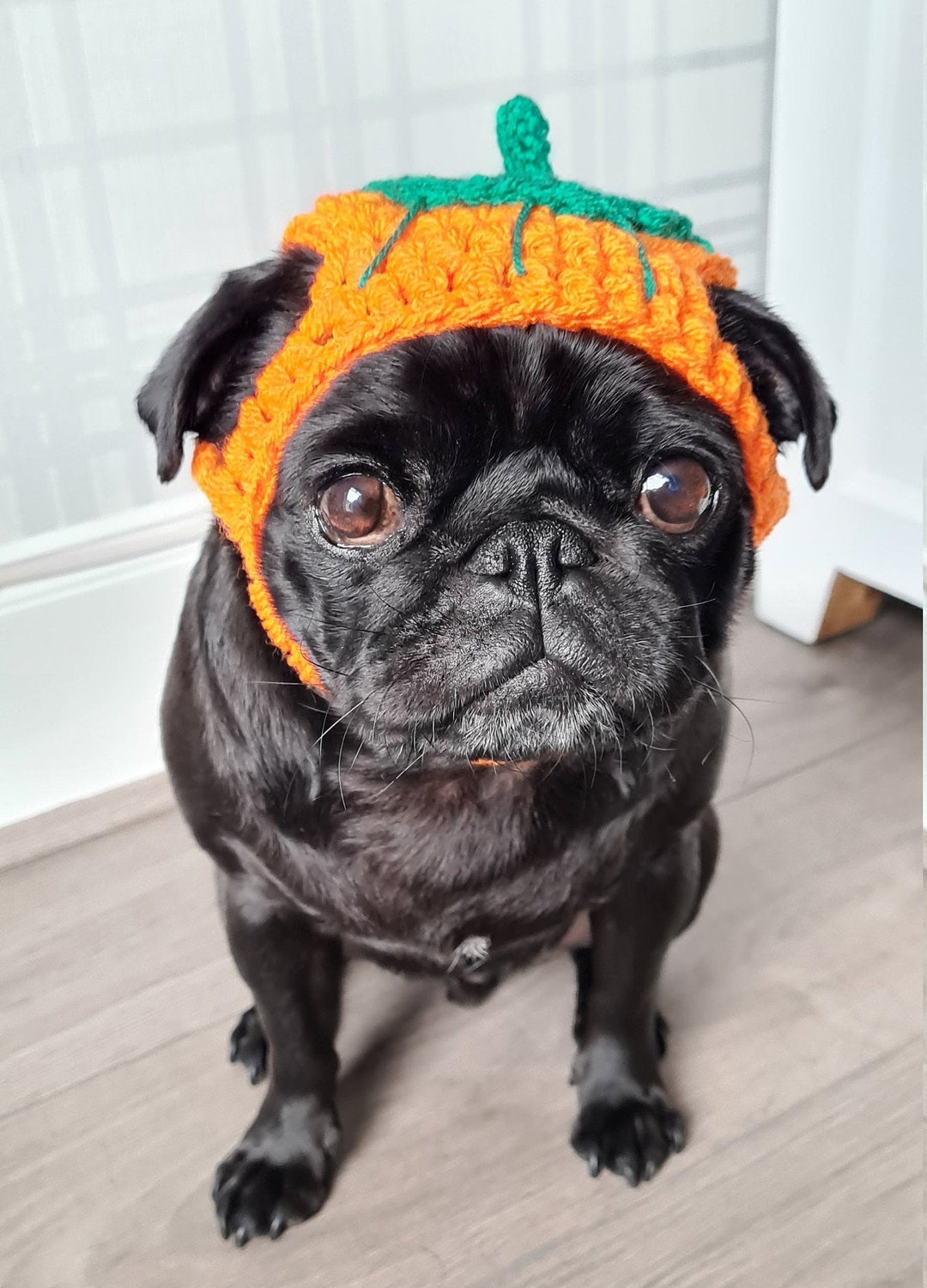 Halloween Hats For Dogs