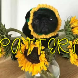 Sonnenblume Hunde Häkelmütze **NUR MUSTER**; Häkelanleitung; Hundemützenmuster; gehäkelte Hundemütze
