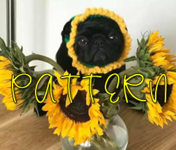 39 Dog Hat Crochet Patterns to Make for Photos, Gifts, and Festive Dress-Up 26 Crochet Sunflower Dog Hat Pattern Only crochet pattern;