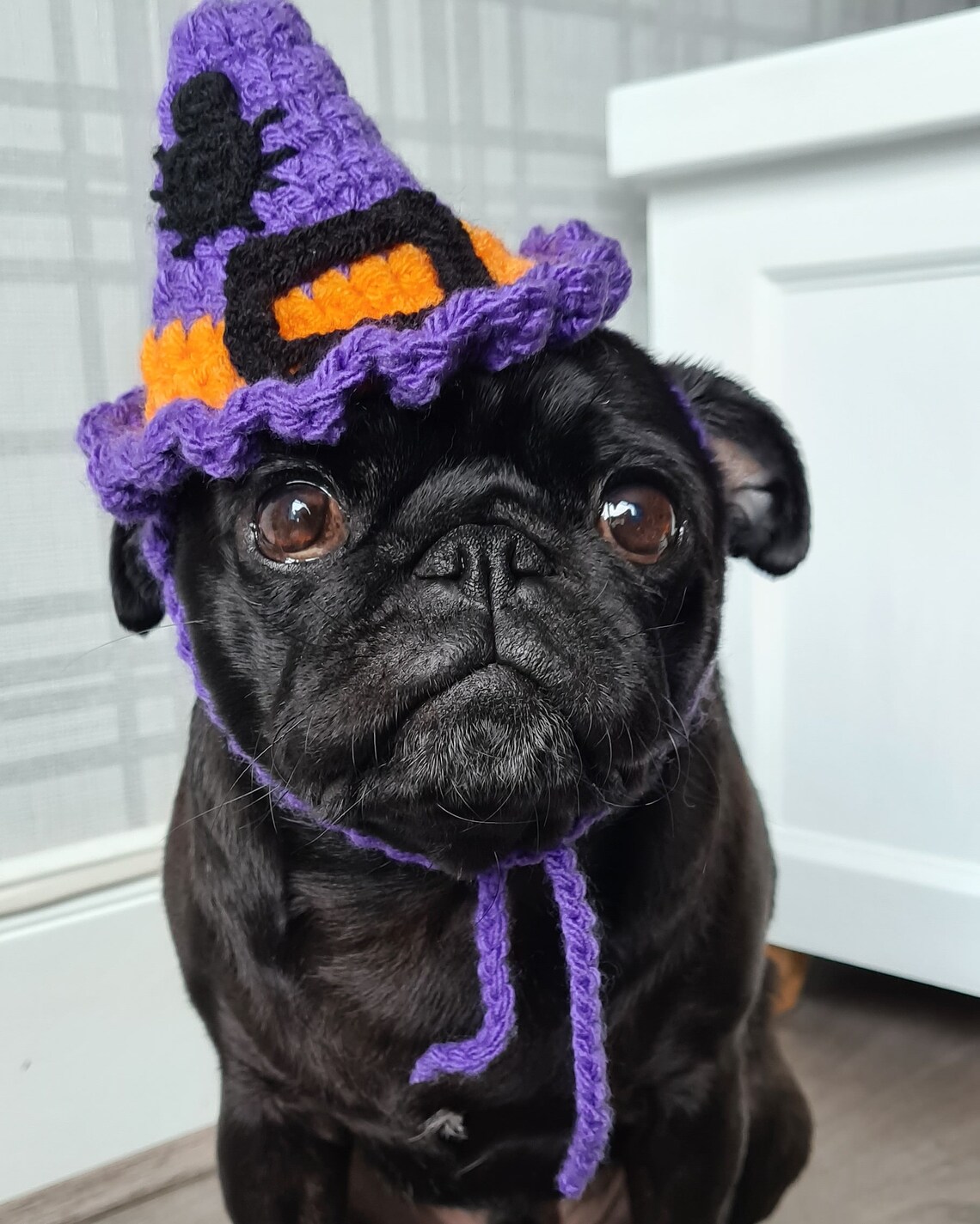 Witch Halloween Dog Hat Crochet Witch Hat Hat for Dogs Etsy