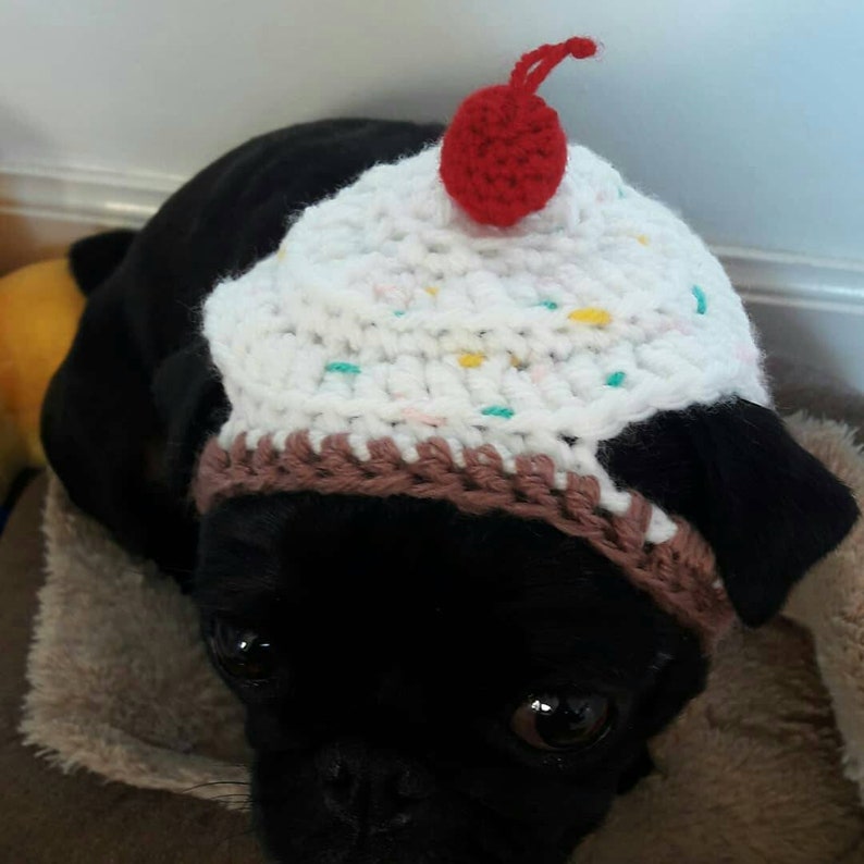 Crochet cupcake dog hat cupcake hat hats for dogs hats for pugs crochet hat pug hat winter hat crochet hat cupcake hat dog fashion imagem 3