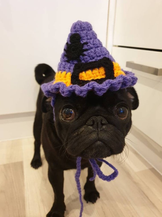 witch hat for dogs
